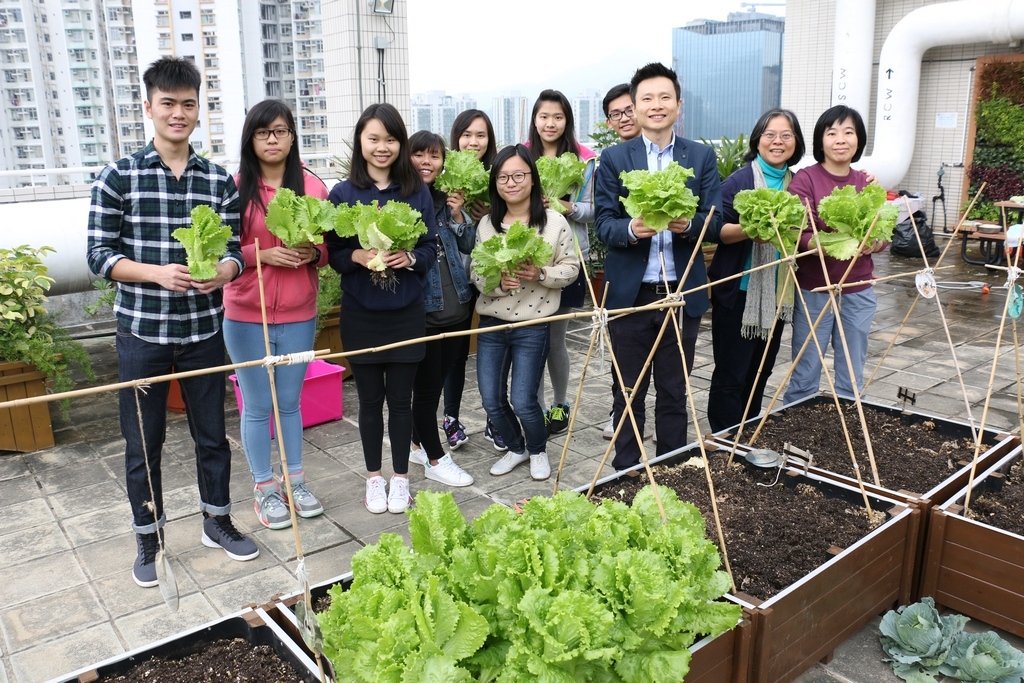 With persistent hard work, Green Ambassadors have a big harvest from “Green Haven” this Spring.